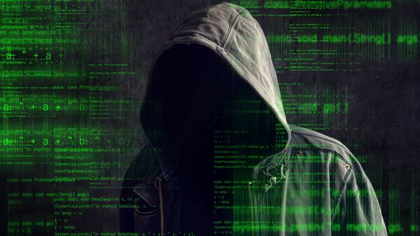 专家：独联体、中东和亚洲国家遭遇黑客攻击最多 - 俄罗斯卫星通讯社