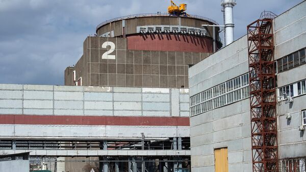 當地政府：扎波羅熱核電站向基輔控制地區的供電已暫停 - 俄羅斯衛星通訊社