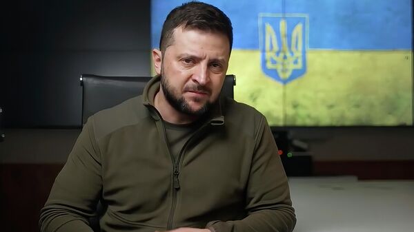 澤連斯基呼籲剝奪持有俄羅斯護照的烏克蘭人的公民身份 - 俄羅斯衛星通訊社