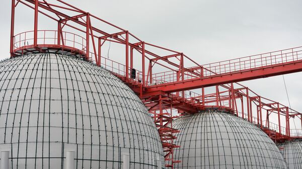 分析人士：欧盟对俄罗斯氨进口制裁将打击欧洲农民 - 俄罗斯卫星通讯社