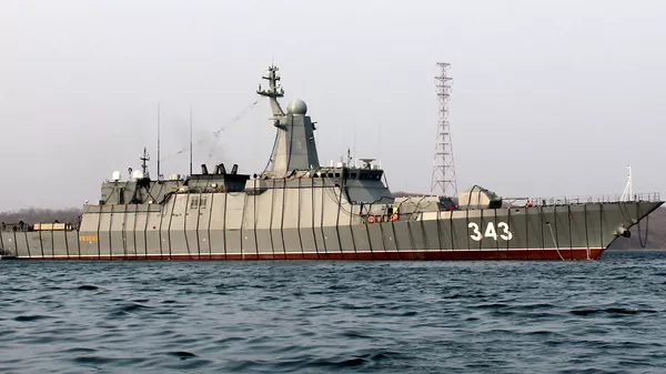 俄羅斯20380型護衛艦“迅猛”號 - 俄羅斯衛星通訊社
