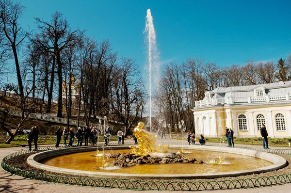 彼得夏宫下公园里的喷泉。 - 俄罗斯卫星通讯社