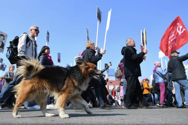 新西伯利亞列寧廣場舉行“不朽軍團”遊行,以紀念偉大的衛國戰爭勝利77週年。 新西伯利亞列寧廣場舉行“不朽軍團”遊行,以紀念偉大的衛國戰爭勝利77週年。 - 俄羅斯衛星通訊社