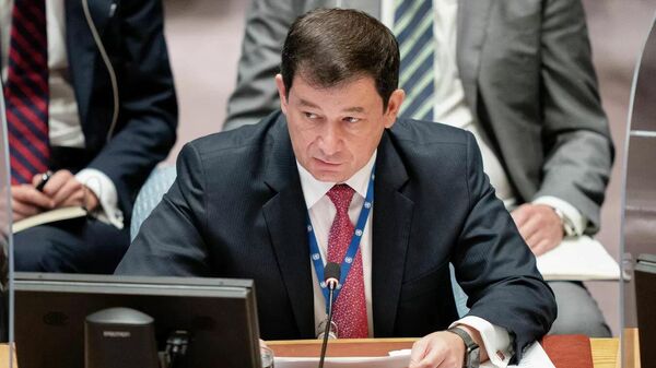 俄罗斯常驻联合国第一副代表德米特里·波利扬斯基 - 俄罗斯卫星通讯社
