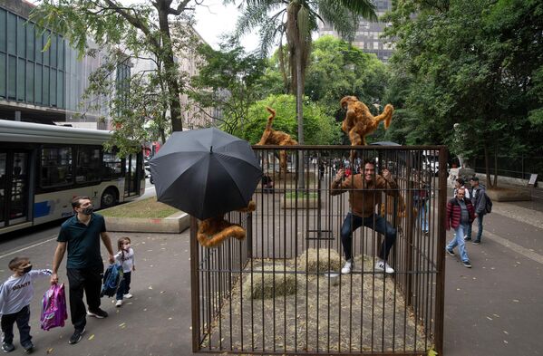 2022年5月6日週五，巴西聖保羅，一名遊客模仿一隻被關在籠子里的動物爬上由巴西藝術家Eduardo Srur創作的藝術裝置。據這位藝術家稱，“Vida Livre”，或稱之為“Free Life”的展覽旨在促使社會重新思考為人類娛樂而被困的動物的文化。 - 俄羅斯衛星通訊社