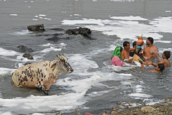 2022年5月7日，印度新德里，一個炎熱的夏日，印度教信徒在滿是泡沫的被污染的亞穆納河中祈禱。 - 俄羅斯衛星通訊社