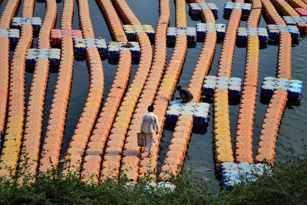 2022年5月11日，阿拉哈巴德，一名男子走在亞穆納河的塑料碼頭上。 - 俄羅斯衛星通訊社