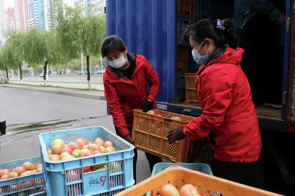 朝鮮政府為隔離居民供應新鮮西紅柿。 朝鮮政府為隔離居民供應新鮮西紅柿。 - 俄羅斯衛星通訊社