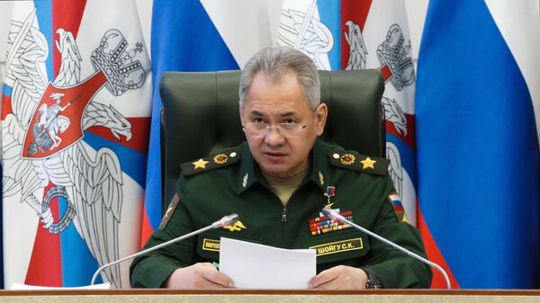 俄罗斯国防部长谢尔盖•绍伊古 - 俄罗斯卫星通讯社