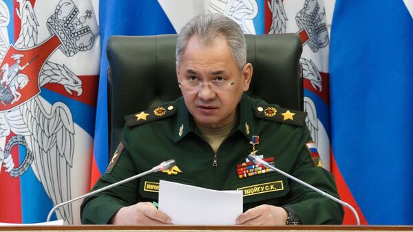 俄罗斯国防部长谢尔盖•绍伊古 - 俄罗斯卫星通讯社