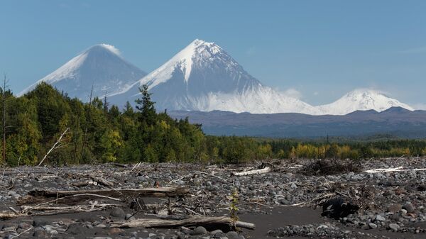 堪察加别济米扬内火山灰柱高度达到5000米 - 俄罗斯卫星通讯社