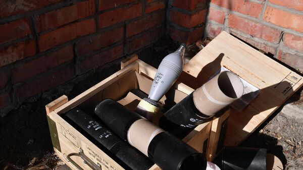 专家：乌克兰因中东局势正经历严重的弹药短缺 - 俄罗斯卫星通讯社