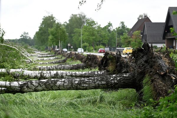 2022年5月21日，德國西部，一場暴風雨後的第二天，被連根拔起的山毛櫸樹躺在路邊。 - 俄羅斯衛星通訊社