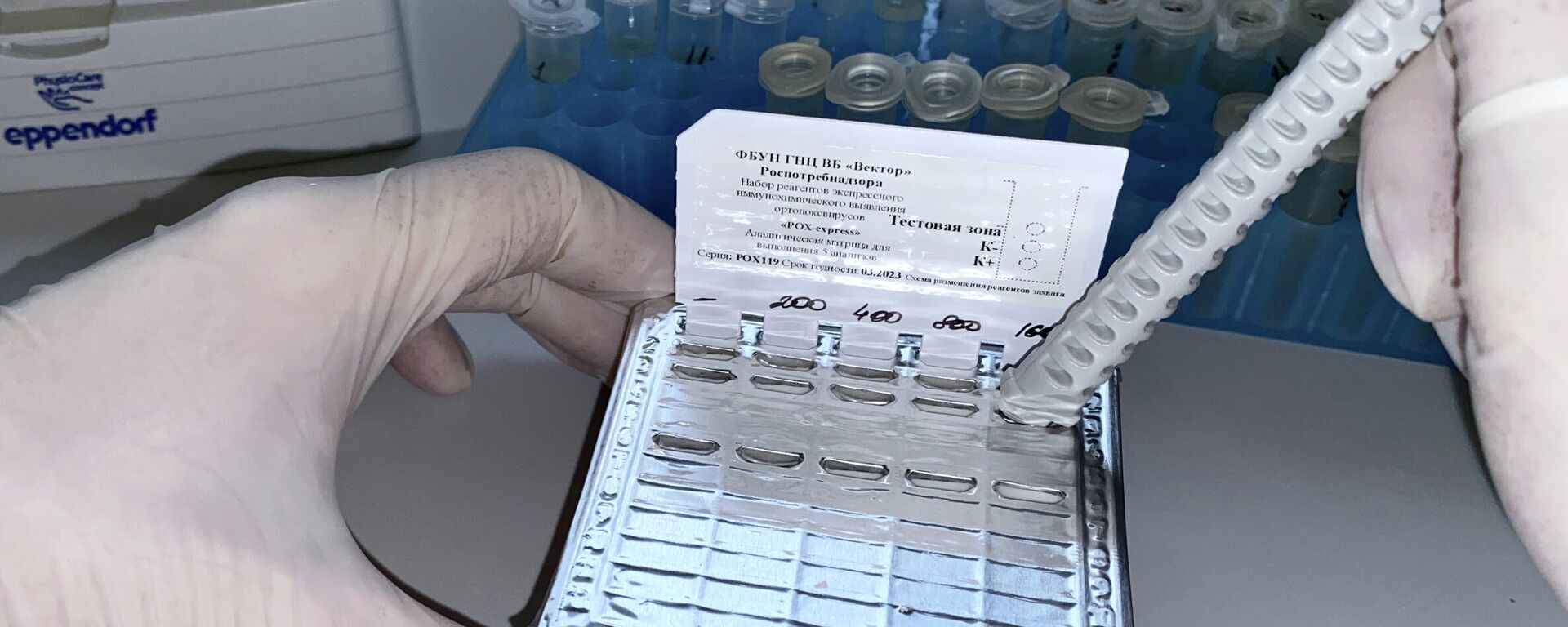 俄外交部: 俄羅斯向柬埔寨交付500套猴痘檢測試劑 - 俄羅斯衛星通訊社, 1920, 05.08.2022