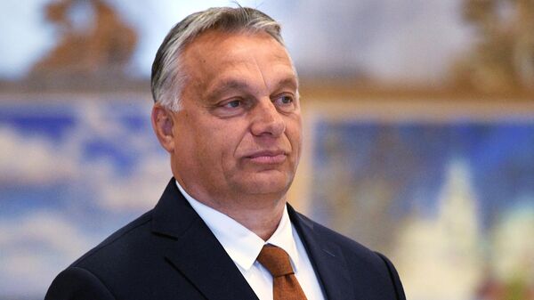 匈牙利总理奥尔班 - 俄罗斯卫星通讯社