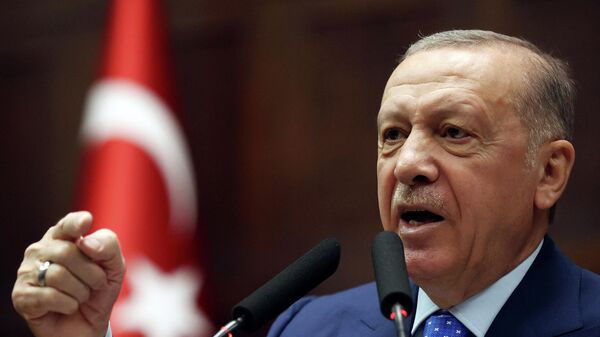 土耳其总统塔伊普•埃尔多安 - 俄罗斯卫星通讯社