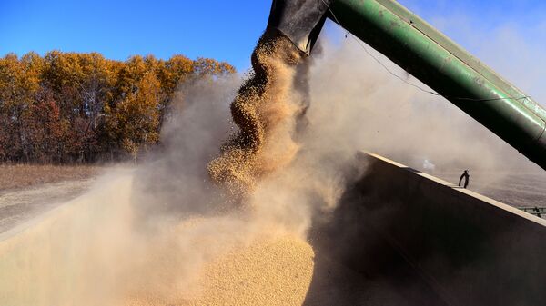 特朗普与习近平会晤后称大量大豆将被立即购买 - 俄罗斯卫星通讯社