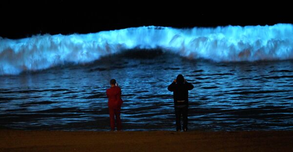 美国洛杉矶多克韦勒州立海滩的发光浮游生物。 - 俄罗斯卫星通讯社