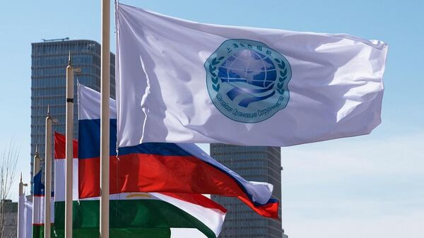 上海合作组织旗帜 - 俄罗斯卫星通讯社