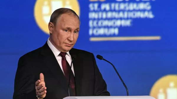 俄总统普京在第25届圣彼得堡国际经济论坛上发表讲话 - 俄罗斯卫星通讯社