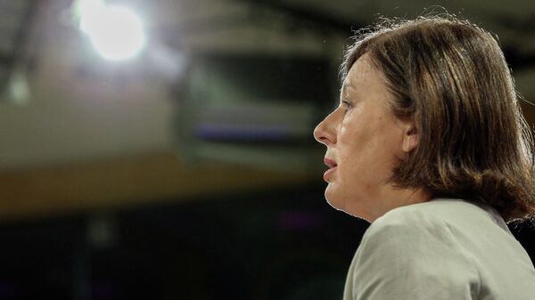 欧盟委员会副主席维拉·朱罗瓦 - 俄罗斯卫星通讯社
