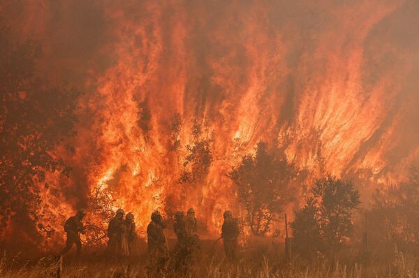 西班牙消防隊員在普馬列霍特拉地區撲滅山火。 - 俄羅斯衛星通訊社