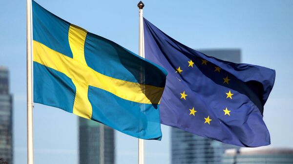 瑞典政治家：瑞典應該重新考慮歐盟成員國身份的事情 - 俄羅斯衛星通訊社