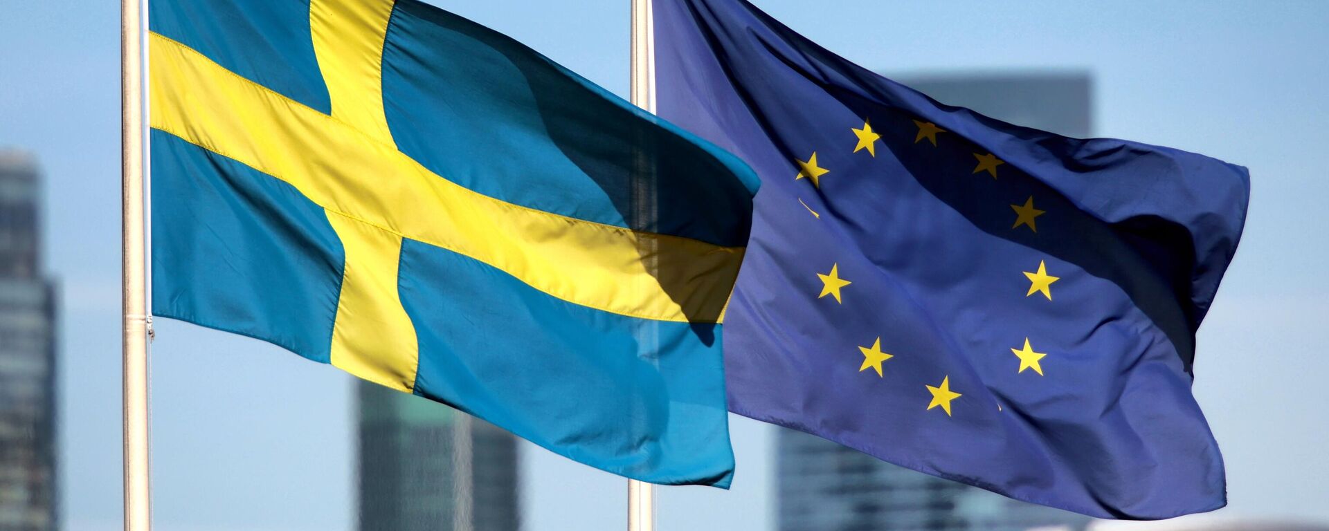 瑞典政治家：瑞典應該重新考慮歐盟成員國身份的事情 - 俄羅斯衛星通訊社, 1920, 04.05.2023