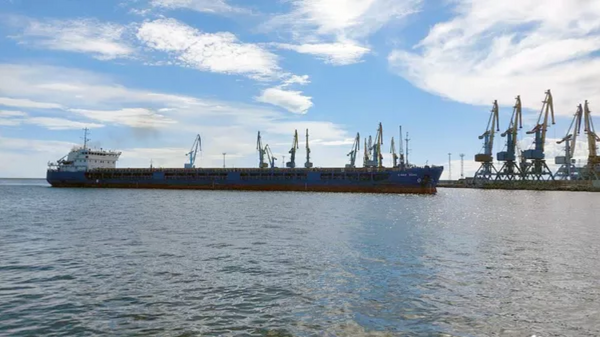 别尔江斯克港装载粮食的货船 - 俄罗斯卫星通讯社