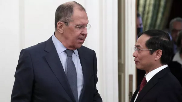 越南外長：發展對俄關係是我國重點工作 - 俄羅斯衛星通訊社