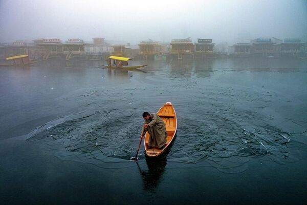 印度攝影師莫罕·潘迪拍攝作品《在冰中游動》。 - 俄羅斯衛星通訊社
