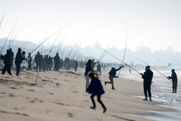 乌拉圭拉斯托斯卡斯布罗托拉海滩举行钓鱼大赛。 - 俄罗斯卫星通讯社