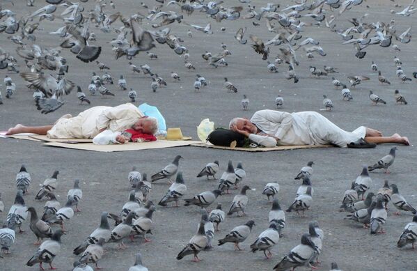 沙特阿拉伯圣城麦加大清真寺周边的朝圣者与广场鸽。 - 俄罗斯卫星通讯社