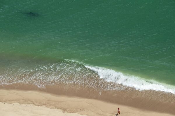 2022年7月15日，馬薩諸塞州科德角東側的科德角國家海岸，一個人正在跑步，而距離他只有幾米遠的水域里就有一條大白鯊在游動。馬薩諸塞州沿海是許多大白鯊夏季里的家園。隨著查塔姆等地對鯊魚興趣的與日俱增，包括觀光旅遊在內的和鯊魚相關的旅遊業如雨後春筍般地湧現。 - 俄羅斯衛星通訊社