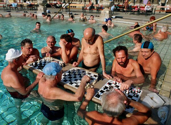 人們在布達佩斯的游泳池里下棋。 - 俄羅斯衛星通訊社