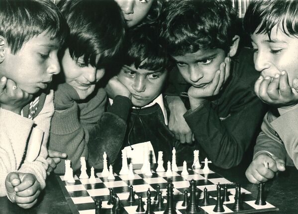 澳大利亞，移民兒童在學習下象棋。 - 俄羅斯衛星通訊社