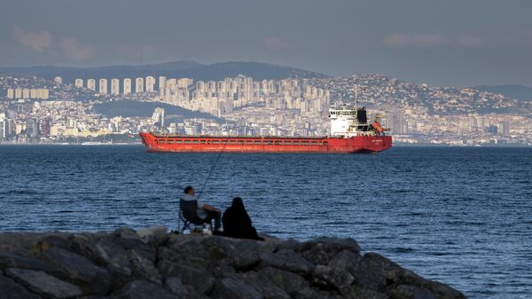 土媒：一艘貨船在伊斯坦布爾東部造船廠中起火 - 俄羅斯衛星通訊社