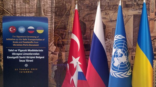 俄羅斯在伊斯坦布爾與聯合國和土耳其簽署“糧食協議” - 俄羅斯衛星通訊社