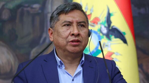 玻利维亚外交部长罗赫略·迈塔 - 俄罗斯卫星通讯社