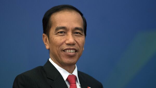 印尼总统佐科·维多多 - 俄罗斯卫星通讯社
