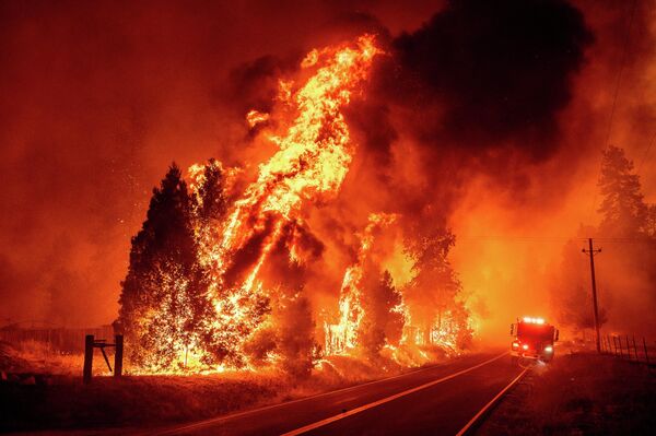 加利福尼亞州森林火災。 - 俄羅斯衛星通訊社
