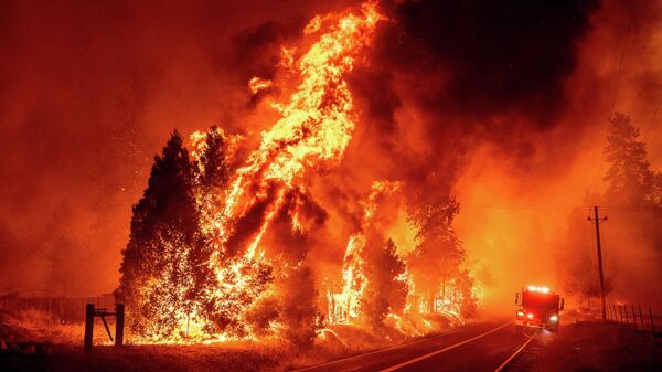 加利福尼亞州森林火災 - 俄羅斯衛星通訊社
