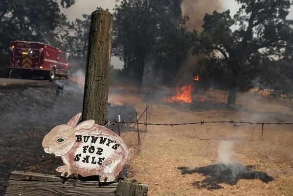 加利福尼亞州火災引燃土地。 - 俄羅斯衛星通訊社
