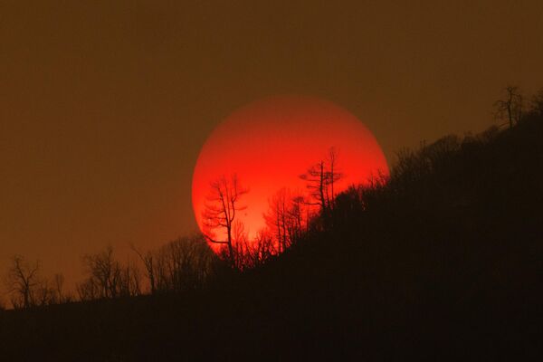 太阳在加利福尼亚大火中升起。 - 俄罗斯卫星通讯社