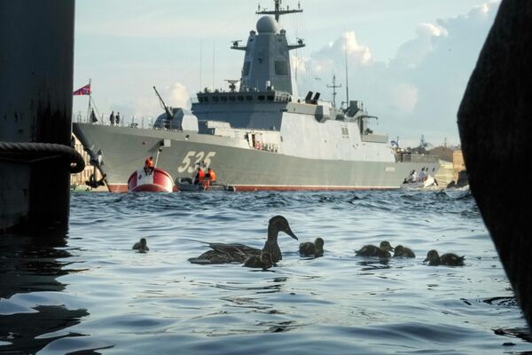 水鳥在閱兵式彩排水域游水。 - 俄羅斯衛星通訊社