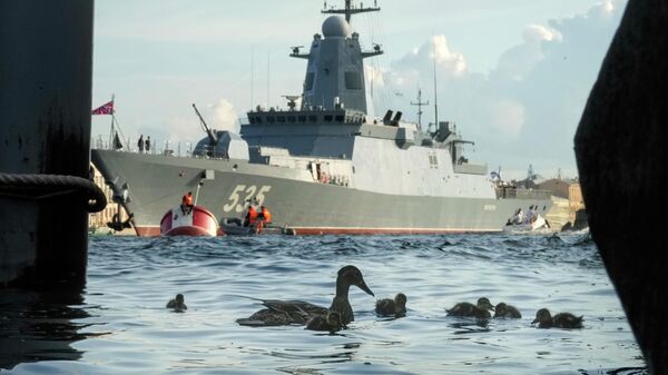 水鳥在閱兵式彩排水域游水 - 俄羅斯衛星通訊社