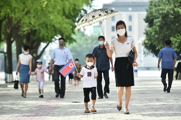 朝鲜祖国解放战争胜利69周年之际，平壤街头手持朝鲜国旗的孩子。 - 俄罗斯卫星通讯社