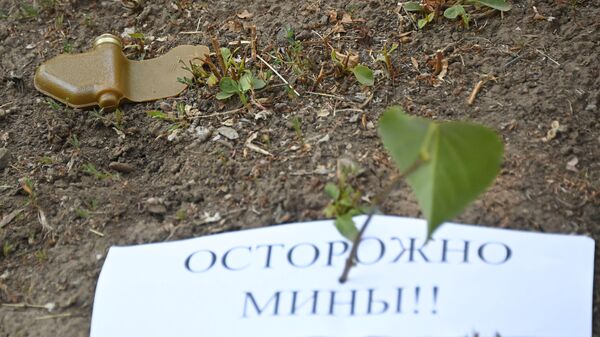 烏軍在伊久姆布下“花瓣”地雷 - 俄羅斯衛星通訊社
