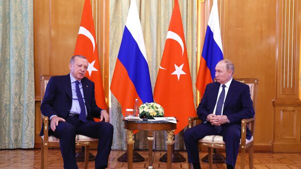 俄罗斯和土耳其总统在电话中讨论“粮食走廊”叙利亚和能源问题