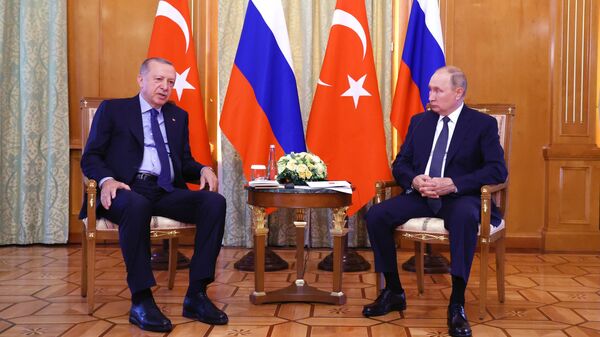 俄羅斯總統普京與土耳其總統埃爾多安 - 俄羅斯衛星通訊社
